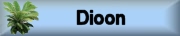 Photo gallery DIOON